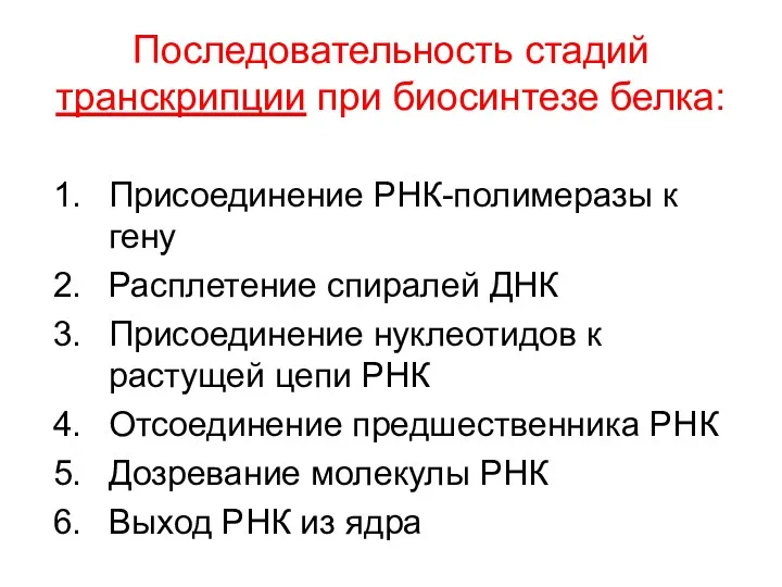 Последовательность стадий транскрипции при биосинтезе белка: Присоединение РНК-полимеразы к гену