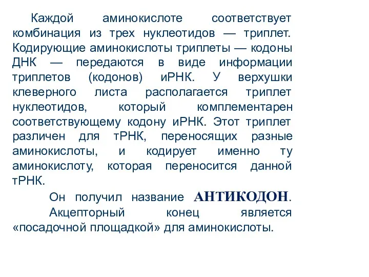 Каждой аминокислоте соответствует комбинация из трех нуклеотидов — триплет. Кодирующие