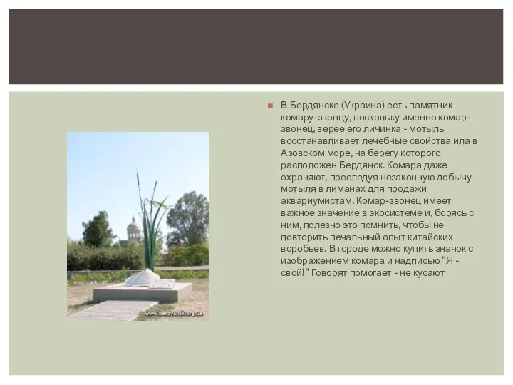 В Бердянске (Украина) есть памятник комару-звонцу, поскольку именно комар-звонец, верее