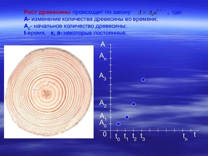 Рост древесины происходит по закону , где: A- изменение количества древесины во времени;