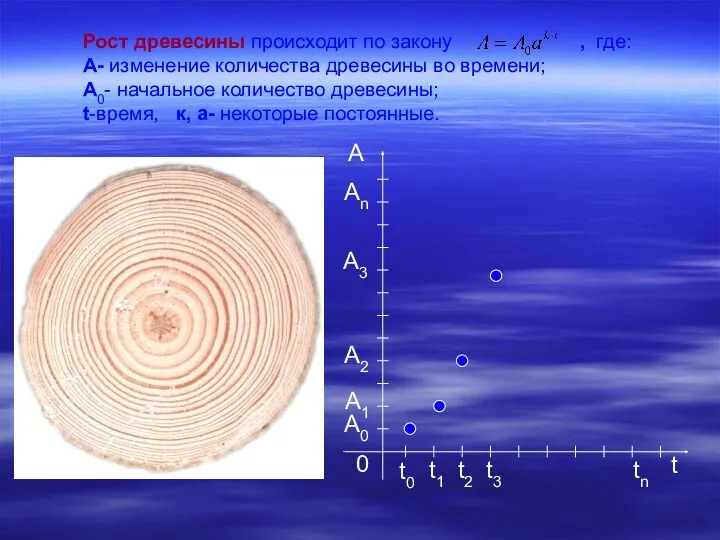 Рост древесины происходит по закону , где: A- изменение количества