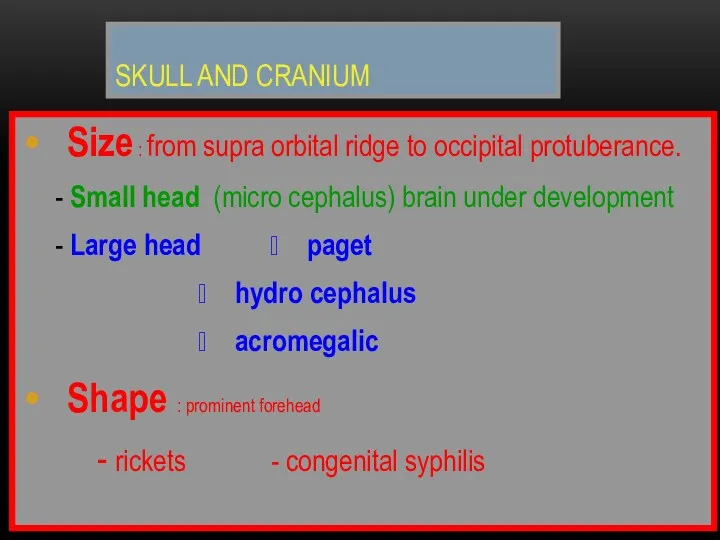 SKULL AND CRANIUM Size : from supra orbital ridge to