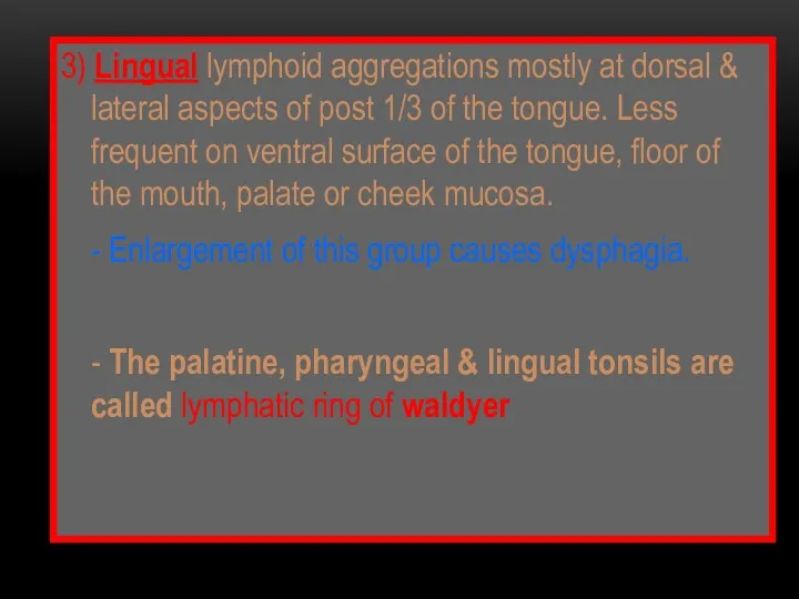 3) Lingual lymphoid aggregations mostly at dorsal & lateral aspects