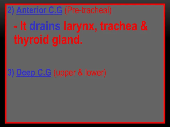 2) Anterior C.G (Pre-tracheal) - It drains larynx, trachea &