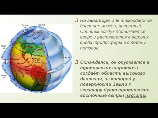 На экваторе, где атмосферное давление низкое, нагретый Солнцем воздух поднимается