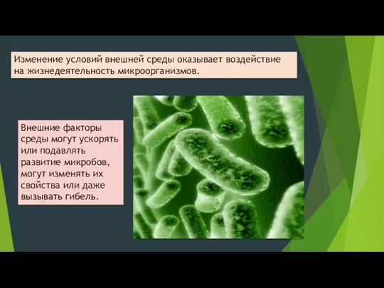 Изменение условий внешней среды оказывает воздействие на жизнедеятельность микроорганизмов. Внешние