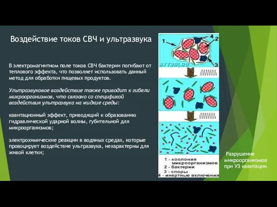 Воздействие токов СВЧ и ультразвука В электромагнитном поле токов СВЧ