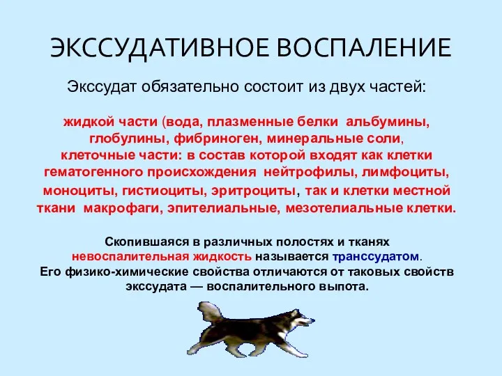 ЭКССУДАТИВНОЕ ВОСПАЛЕНИЕ Экссудат обязательно состоит из двух частей: жидкой части