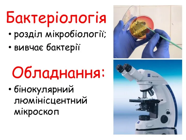 Бактеріологія розділ мікробіології; вивчає бактерії Обладнання: бінокулярний люмінісцентний мікроскоп