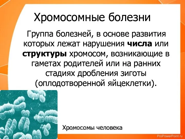 Хромосомные болезни Группа болезней, в основе развития которых лежат нарушения