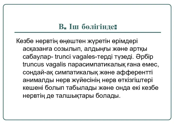 В. Іш бөлігінде: Кезбе нервтің өңештен жүретін өрімдері асқазанға созылып,