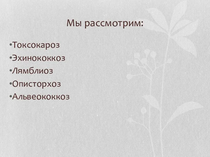 Мы рассмотрим: Токсокароз Эхинококкоз Лямблиоз Описторхоз Альвеококкоз