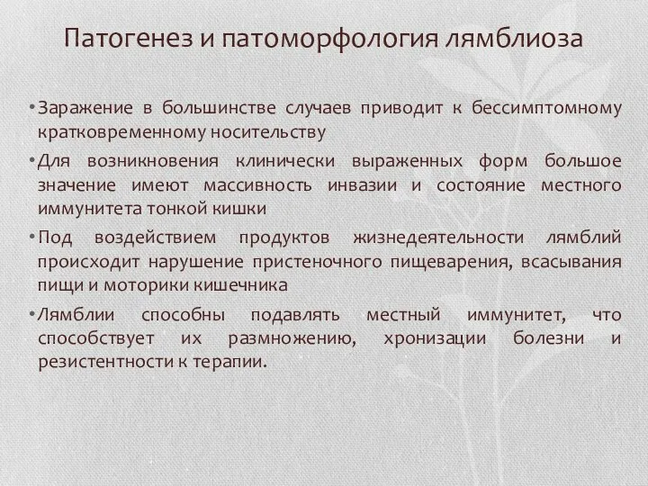 Патогенез и патоморфология лямблиоза Заражение в большинстве случаев приводит к