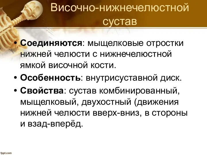 Височно-нижнечелюстной сустав Соединяются: мыщелковые отростки нижней челюсти с нижнечелюстной ямкой