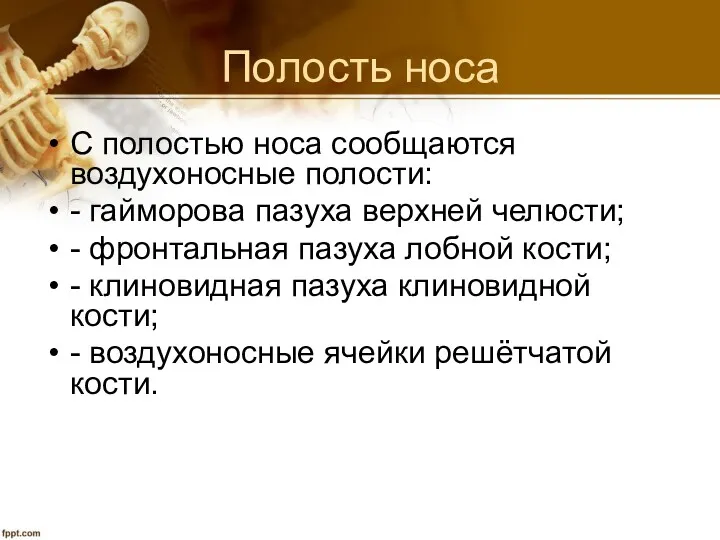 Полость носа С полостью носа сообщаются воздухоносные полости: - гайморова