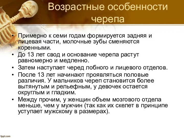 Возрастные особенности черепа Примерно к семи годам формируется задняя и