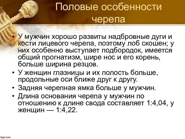 Половые особенности черепа У мужчин хорошо развиты надбровные дуги и