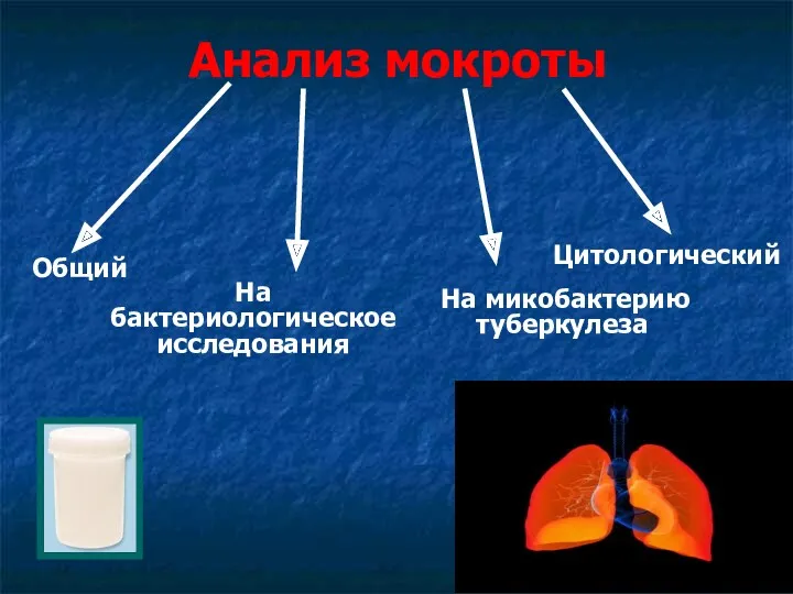 Анализ мокроты Общий На бактериологическое исследования Цитологический На микобактерию туберкулеза