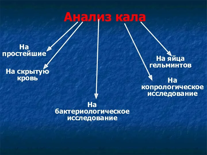 Анализ кала На копрологическое исследование На бактериологическое исследование На яйца гельминтов На скрытую кровь На простейшие