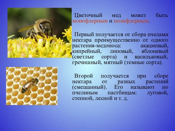 Цветочный мед может быть монофлерным и полифлерным. Первый получается от