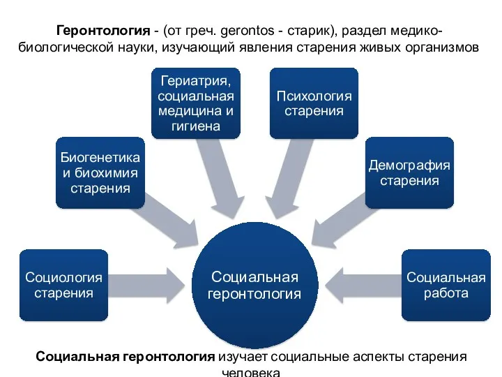 Социальная геронтология изучает социальные аспекты старения человека Геронтология - (от