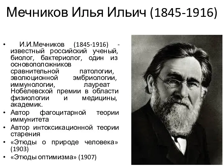 Мечников Илья Ильич (1845-1916) И.И.Мечников (1845-1916) - известный российский ученый,