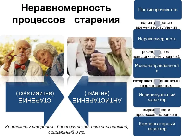 процессы старения отличаются гетерохронностью (в геронтологии - вариативностью времени наступления