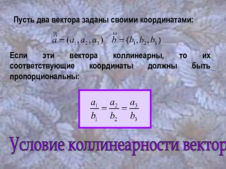 Пусть два вектора заданы своими координатами: Если эти вектора коллинеарны,