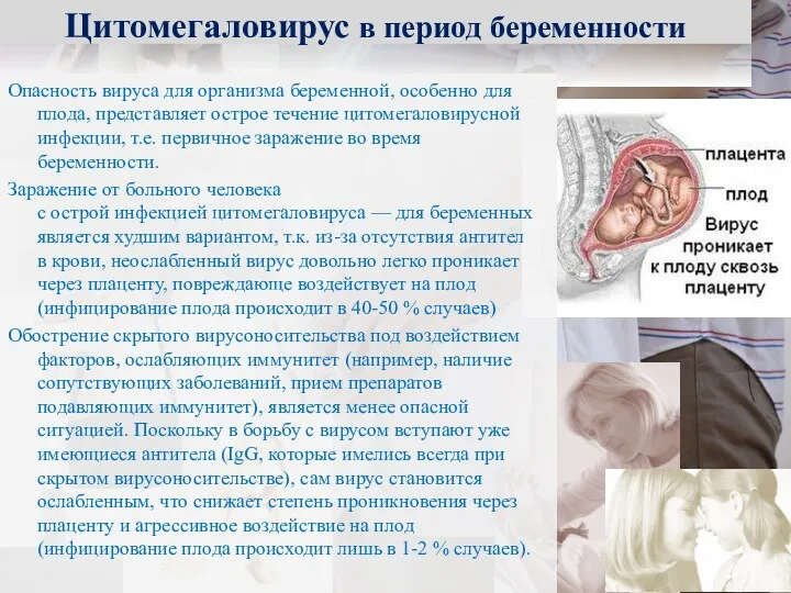 Цитомегаловирус в период беременности Опасность вируса для организма беременной, особенно