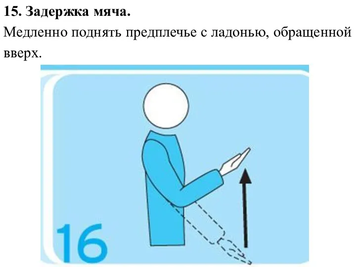 15. Задержка мяча. Медленно поднять предплечье с ладонью, обращенной вверх.