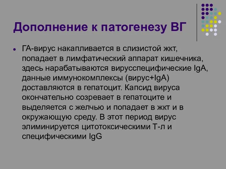 Дополнение к патогенезу ВГ ГА-вирус накапливается в слизистой жкт, попадает