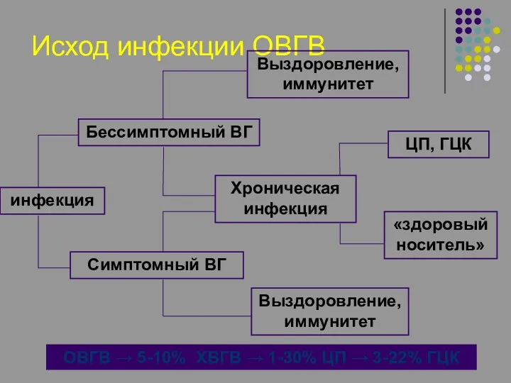 Исход инфекции ОВГВ инфекция Бессимптомный ВГ Симптомный ВГ Хроническая инфекция