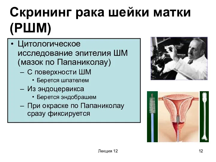 Лекция 12 Скрининг рака шейки матки (РШМ) Цитологическое исследование эпителия