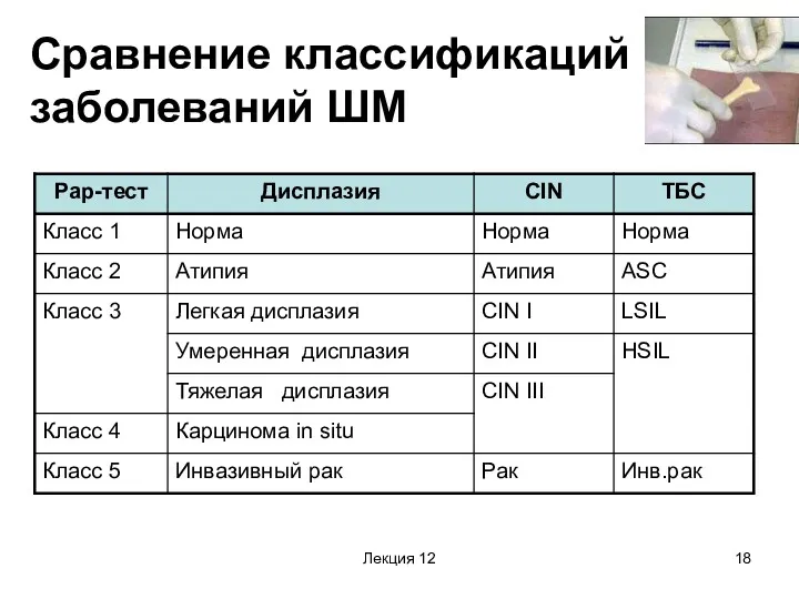 Лекция 12 Сравнение классификаций заболеваний ШМ