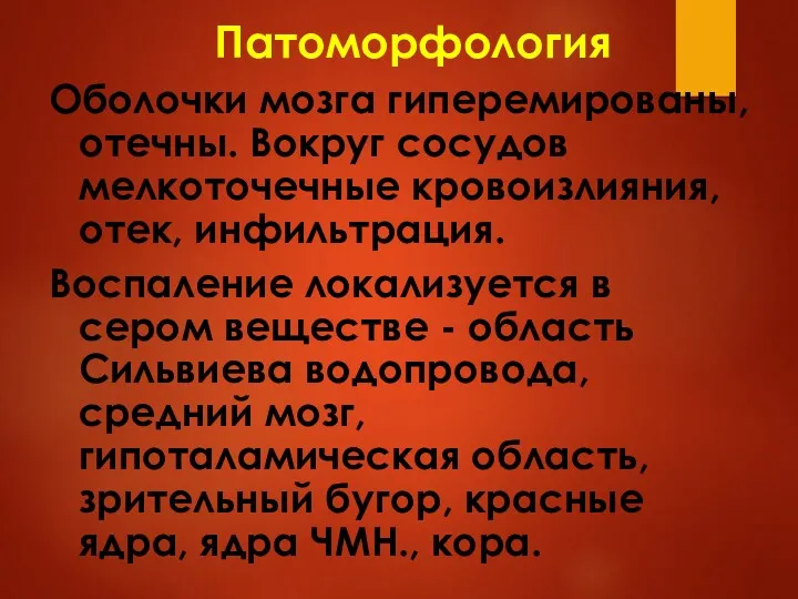 Патоморфология Оболочки мозга гиперемированы, отечны. Вокруг сосудов мелкоточечные кровоизлияния, отек, инфильтрация. Воспаление локализуется