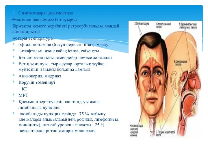 Симптомдары ,диагностика Өршімелі бас немесе бет ауыруы Біржақты немесе жергілікті