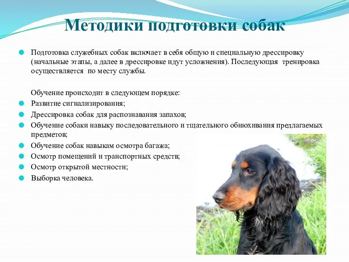 Методики подготовки собак Подготовка служебных собак включает в себя общую и специальную дрессировку