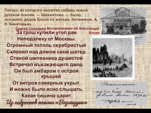 За грош купили угол рая Неподалеку от Москвы. Огромный тополь