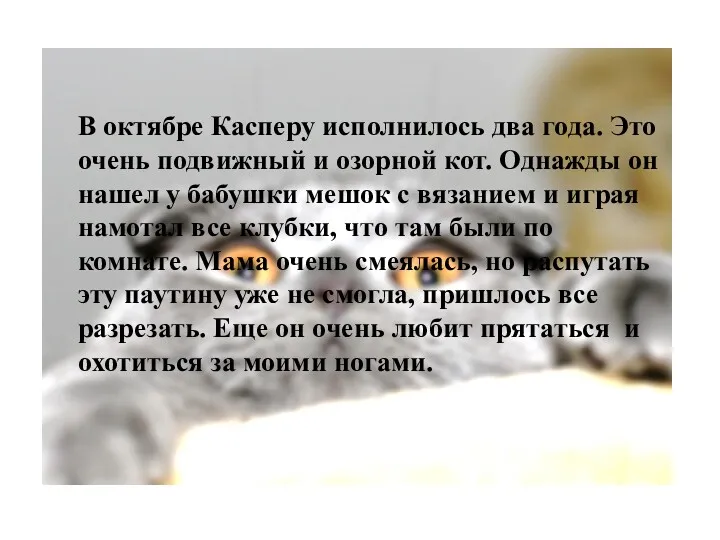 В октябре Касперу исполнилось два года. Это очень подвижный и