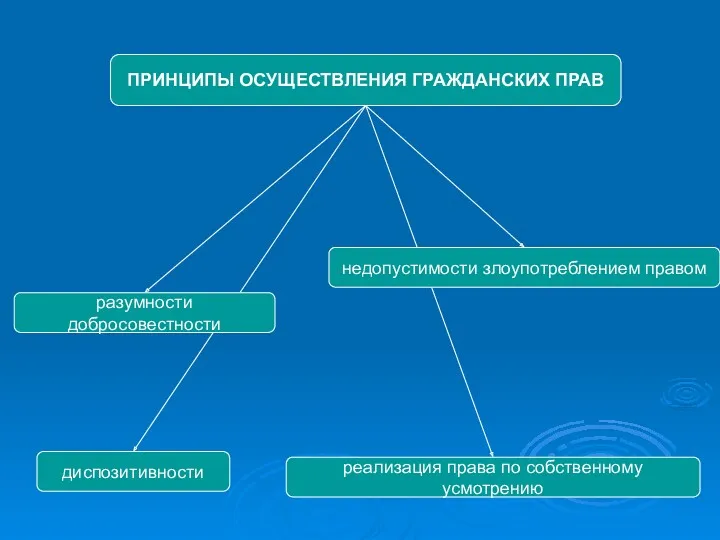 ПРИНЦИПЫ ОСУЩЕСТВЛЕНИЯ ГРАЖДАНСКИХ ПРАВ диспозитивности реализация права по собственному усмотрению недопустимости злоупотреблением правом разумности добросовестности