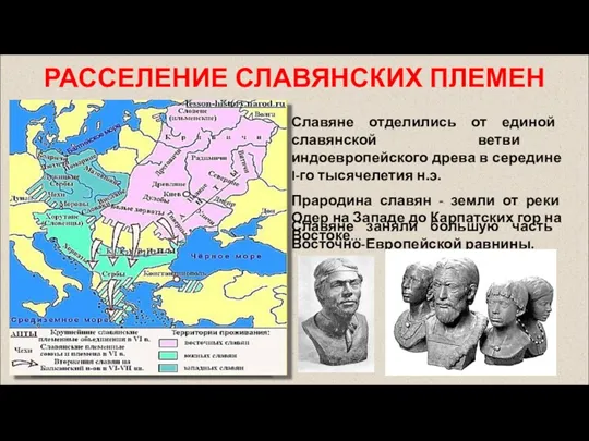 Славяне отделились от единой славянской ветви индоевропейского древа в середине