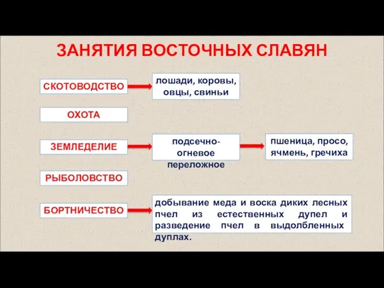 ЗАНЯТИЯ ВОСТОЧНЫХ СЛАВЯН СКОТОВОДСТВО ЗЕМЛЕДЕЛИЕ РЫБОЛОВСТВО ОХОТА БОРТНИЧЕСТВО лошади, коровы,