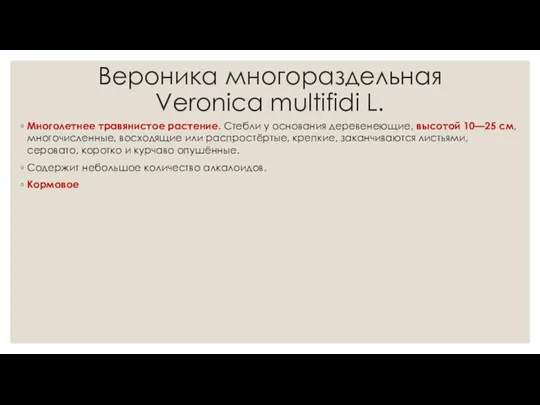 Вероника многораздельная Veroniсa multifidi L. Многолетнее травянистое растение. Стебли у