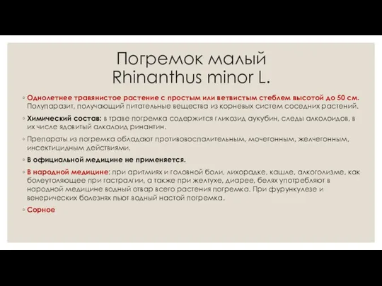 Погремок малый Rhinanthus minor L. Однолетнее травянистое растение с простым