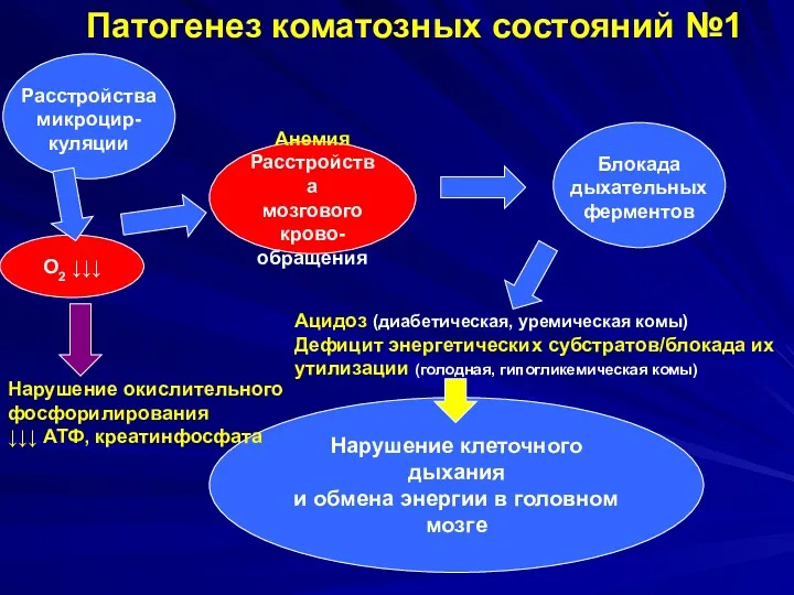 Патогенез коматозных состояний №1 Блокада дыхательных ферментов О2 ↓↓↓ Анемия