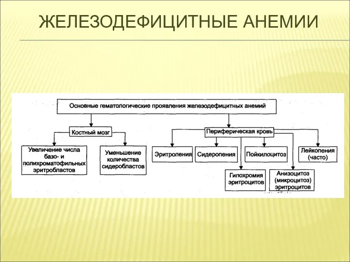 ЖЕЛЕЗОДЕФИЦИТНЫЕ АНЕМИИ