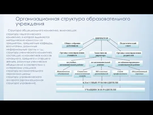 Организационная структура образовательного учреждения Структура общешкольного коллектива, включающая: структуру педагогического