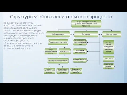 Структура учебно-воспитательного процесса Процессуальные структуры - наиболее подвижные, динамичные, проявляющиеся