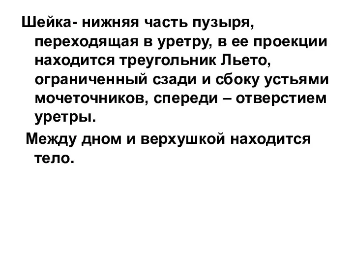 Шейка- нижняя часть пузыря, переходящая в уретру, в ее проекции