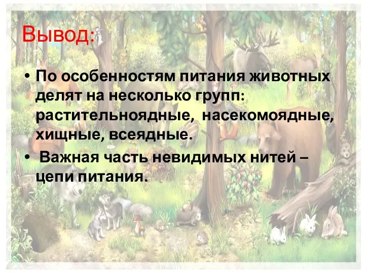 По особенностям питания животных делят на несколько групп: растительноядные, насекомоядные,